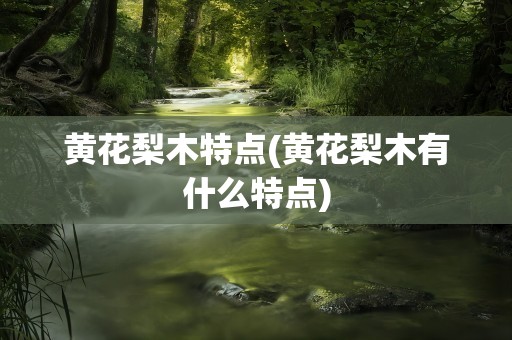 黄花梨木特点(黄花梨木有什么特点)