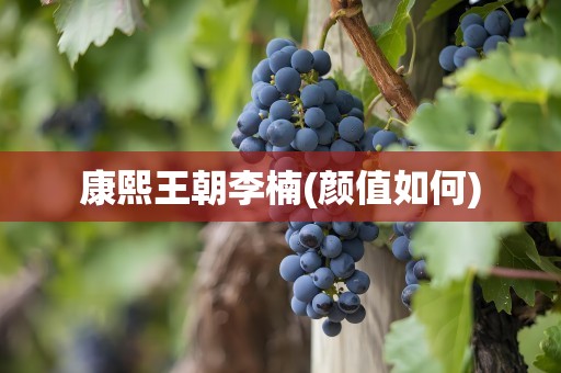 康熙王朝李楠(颜值如何)