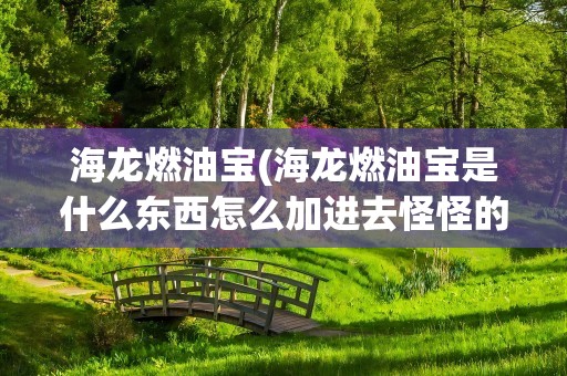海龙燃油宝(海龙燃油宝是什么东西怎么加进去怪怪的)