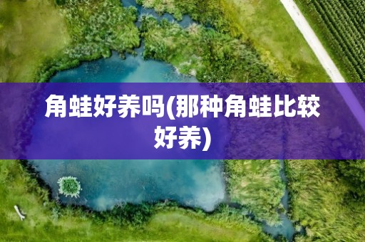 角蛙好养吗(那种角蛙比较好养)