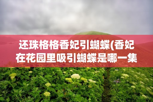 还珠格格香妃引蝴蝶(香妃在花园里吸引蝴蝶是哪一集啊)