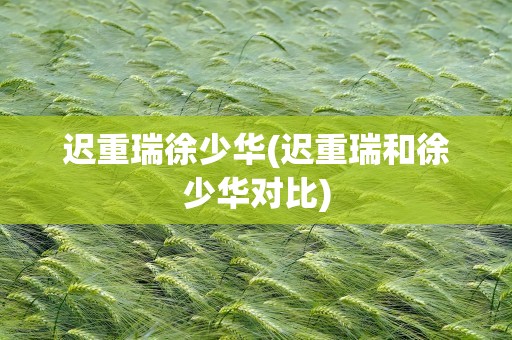 迟重瑞徐少华(迟重瑞和徐少华对比)