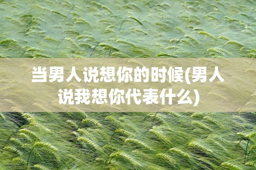 当男人说想你的时候(男人说我想你代表什么)