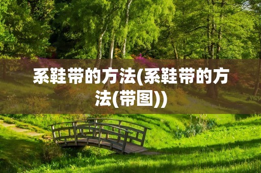 系鞋带的方法(系鞋带的方法(带图))
