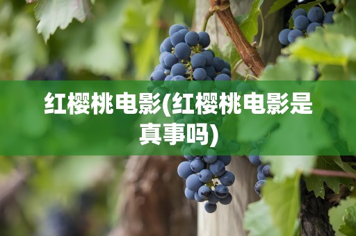 红樱桃电影(红樱桃电影是真事吗)