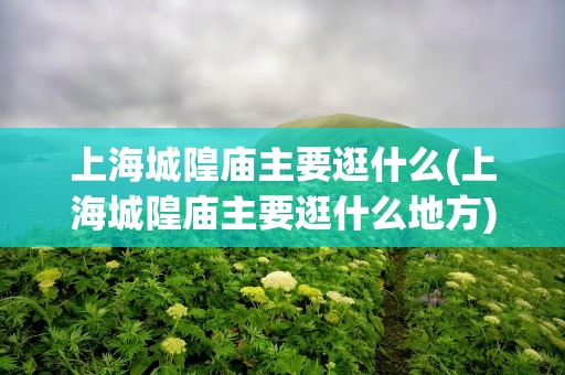 上海城隍庙主要逛什么(上海城隍庙主要逛什么地方)