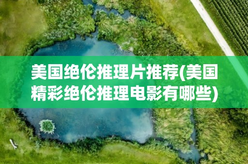 美国绝伦推理片推荐(美国精彩绝伦推理电影有哪些)