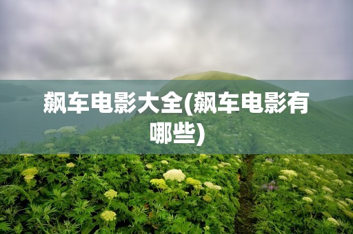 飙车电影大全(飙车电影有哪些)