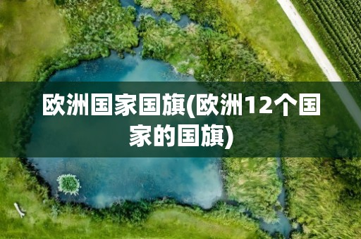 欧洲国家国旗(欧洲12个国家的国旗)
