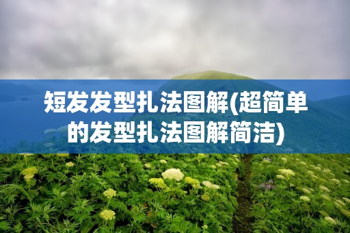 短发发型扎法图解(超简单的发型扎法图解简洁)