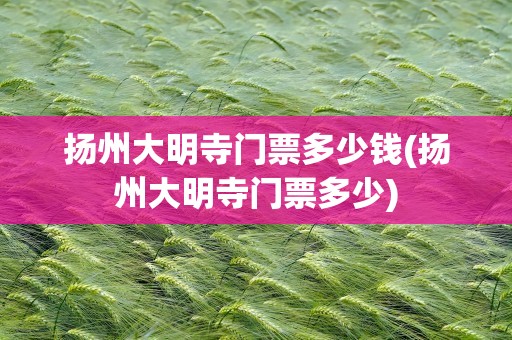 扬州大明寺门票多少钱(扬州大明寺门票多少)