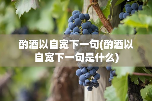 酌酒以自宽下一句(酌酒以自宽下一句是什么)