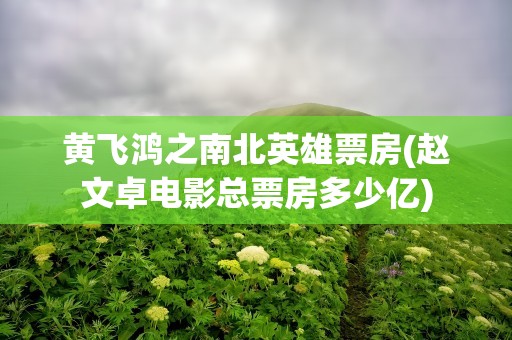 黄飞鸿之南北英雄票房(赵文卓电影总票房多少亿)