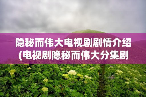 隐秘而伟大电视剧剧情介绍(电视剧隐秘而伟大分集剧情介绍)