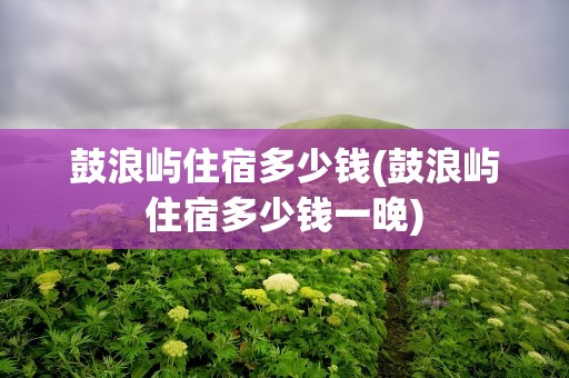鼓浪屿住宿多少钱(鼓浪屿住宿多少钱一晚)