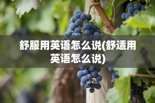 舒服用英语怎么说(舒适用英语怎么说)
