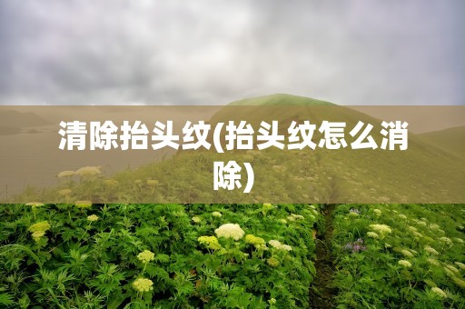 清除抬头纹(抬头纹怎么消除)