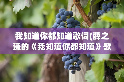 我知道你都知道歌词(薛之谦的《我知道你都知道》歌词)