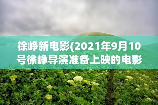 徐峥新电影(2021年9月10号徐峥导演准备上映的电影叫什么)
