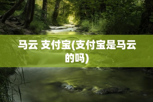 马云 支付宝(支付宝是马云的吗)