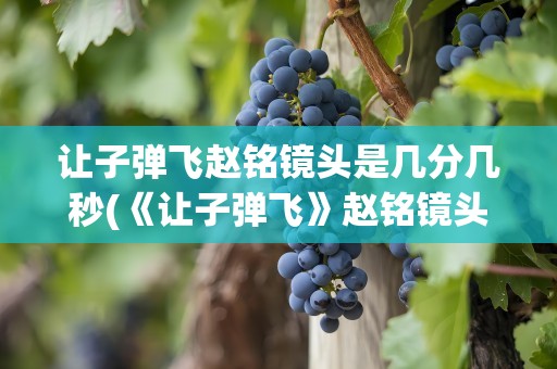 让子弹飞赵铭镜头是几分几秒(《让子弹飞》赵铭镜头时间是什么)