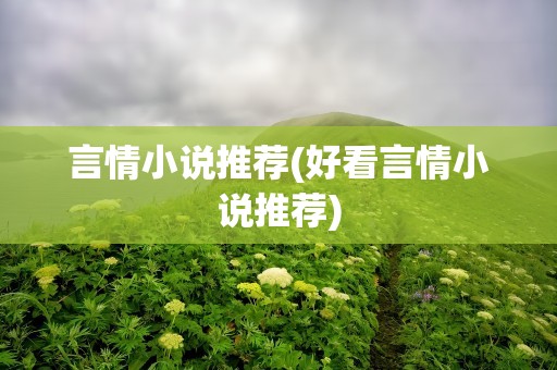 言情小说推荐(好看言情小说推荐)