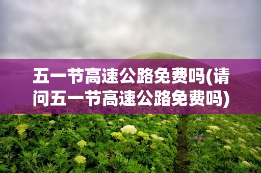 五一节高速公路免费吗(请问五一节高速公路免费吗)