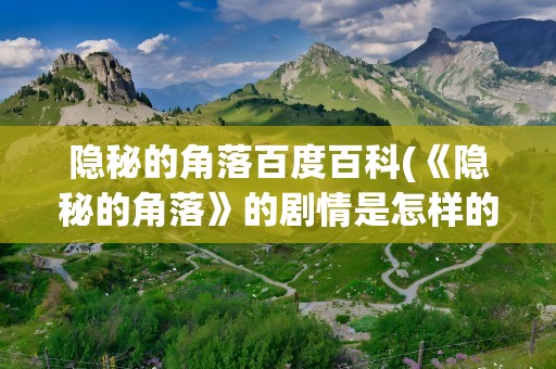 隐秘的角落百度百科(《隐秘的角落》的剧情是怎样的)
