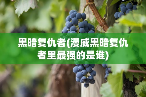 黑暗复仇者(漫威黑暗复仇者里最强的是谁)