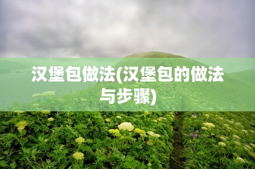 汉堡包做法(汉堡包的做法与步骤)