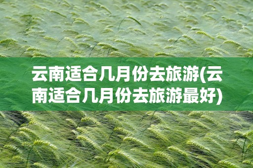 云南适合几月份去旅游(云南适合几月份去旅游最好)