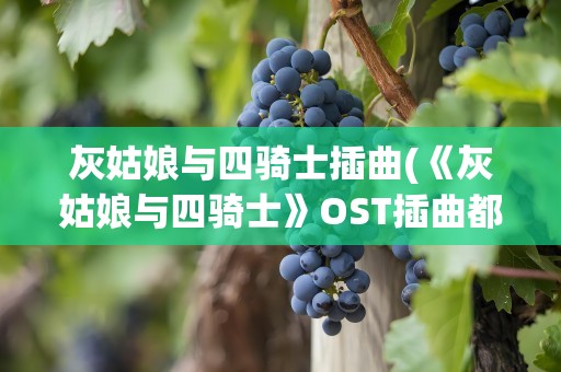 灰姑娘与四骑士插曲(《灰姑娘与四骑士》OST插曲都有哪些)