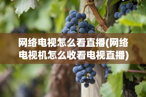 网络电视怎么看直播(网络电视机怎么收看电视直播)