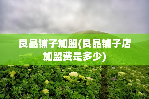 良品铺子加盟(良品铺子店加盟费是多少)
