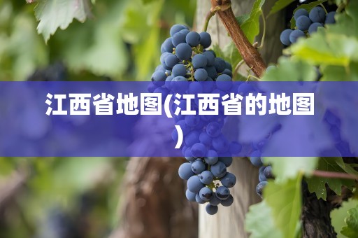 江西省地图(江西省的地图)