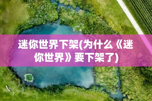 迷你世界下架(为什么《迷你世界》要下架了)