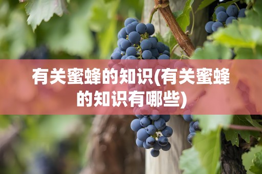 有关蜜蜂的知识(有关蜜蜂的知识有哪些)