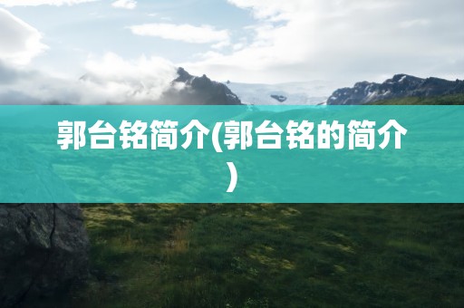 郭台铭简介(郭台铭的简介)