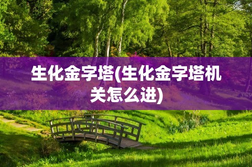 生化金字塔(生化金字塔机关怎么进)