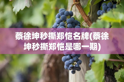 蔡徐坤秒撕郑恺名牌(蔡徐坤秒撕郑恺是哪一期)