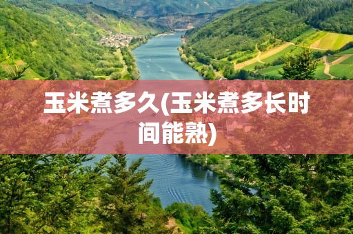 玉米煮多久(玉米煮多长时间能熟)