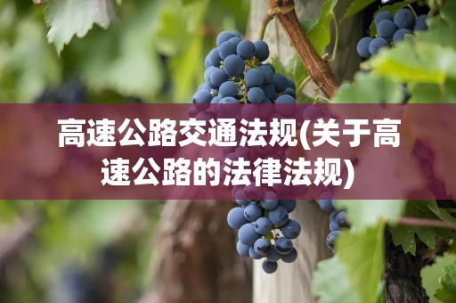 高速公路交通法规(关于高速公路的法律法规)