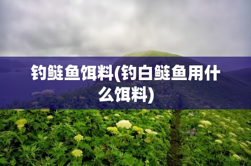 钓鲢鱼饵料(钓白鲢鱼用什么饵料)