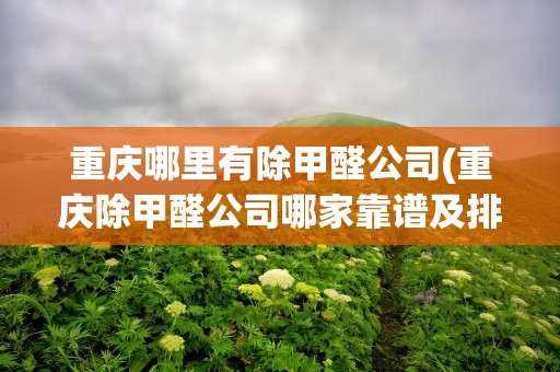 重庆哪里有除甲醛公司(重庆除甲醛公司哪家靠谱及排名较好的)