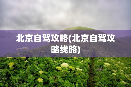 北京自驾攻略(北京自驾攻略线路)