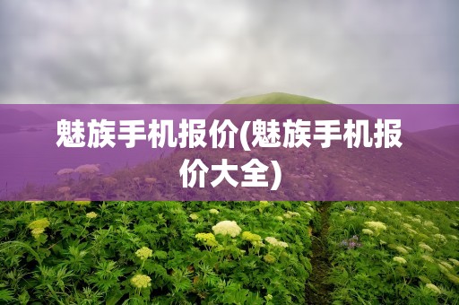 魅族手机报价(魅族手机报价大全)