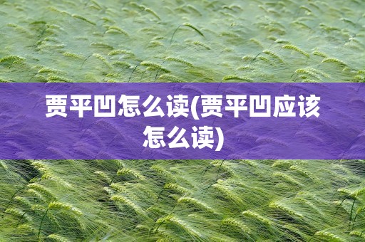 贾平凹怎么读(贾平凹应该怎么读)