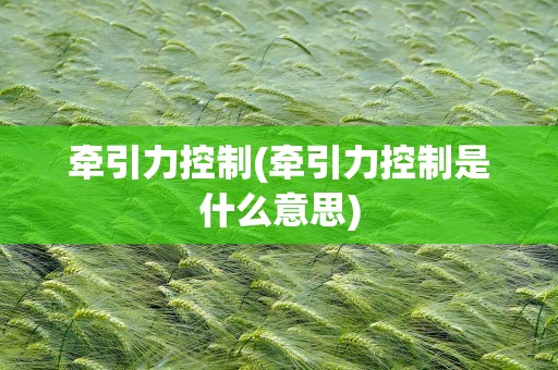 牵引力控制(牵引力控制是什么意思)
