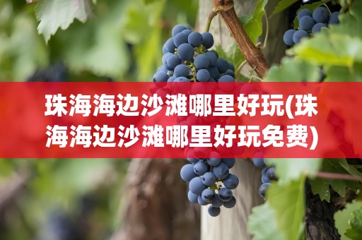 珠海海边沙滩哪里好玩(珠海海边沙滩哪里好玩免费)