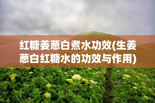 红糖姜葱白煮水功效(生姜葱白红糖水的功效与作用)